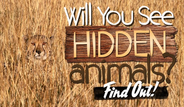Will You See Hidden Animals?