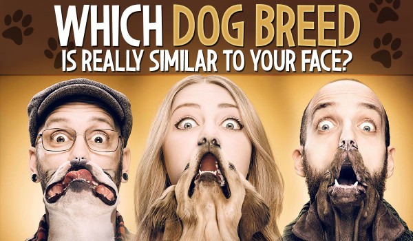 Which dog breed is REALLY similar to your face?