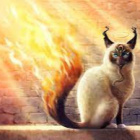 Fire-Cat