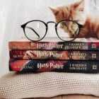 Cats.pl