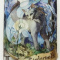 CinderPelt
