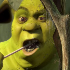 Shrek29
