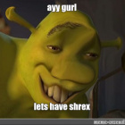 Shrek23