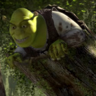 Shrek34