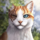 Wariorr.Cats_The.Best