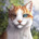 Wariorr.Cats_The.Best