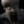 nightmerek