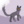 Coal_Star