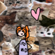 md_fankaxd