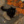 Wiatrowa